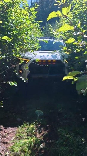 Bye Bye 4Runner Paint #4runner #4x4 #offroad