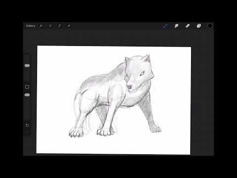 Simple Sketch | Fenrir