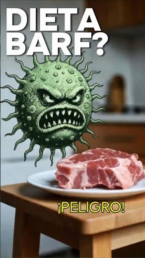 ¿Es buena la carne cruda para tu perro? 🥩🚫 (Mitos y realidades)