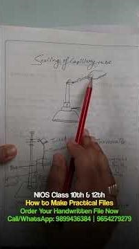 NIOS Practical File Kaise Banaye | NIOS Solved Practical File Class 12 NIOS Class 10 Practical File