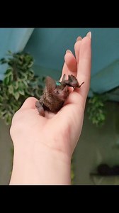 30K views · 2.8K reactions | Time for your regularly scheduled...