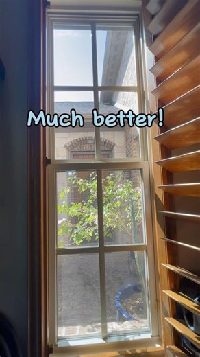 How to clean bug poo off glass