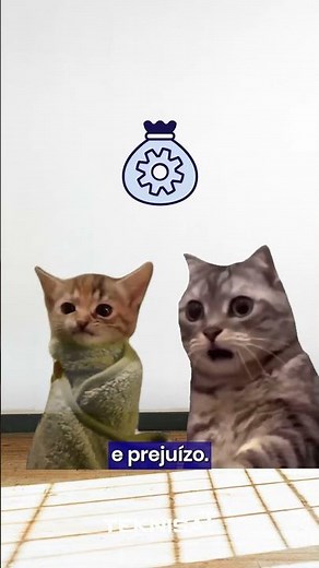 Explicando o Tecfood através de gatinhos