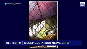 14K views · 69 reactions | HNN News Brief (Dec. 7, 2021): -- New dramatic video shows HFD rescuing five people who were trapped by rushing water in the Nuuanu Stream last night. -- The state has ordered the Navy to suspend operations immediately at the Red Hill fuel tanks. -- Hawaii is reporting 55 new COVID cases and no additional fatalities. #HINews #HNN | Hawaii News Now | Facebook