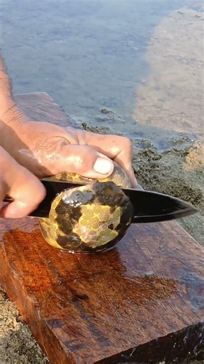 Cutting Open a Mysterious Exotic Fruit on the Beach! 🌊🔪