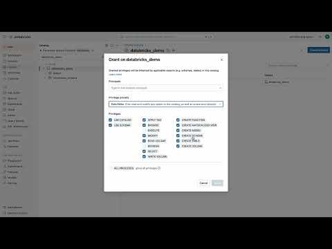 Data Governance with Unity Catalog (August 2024)