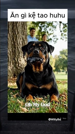 Nằm ăn của lạ cũng không yên #shorts #funny #memes