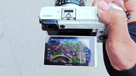 Khám Phá Nhiếp Ảnh Với Sony A6000