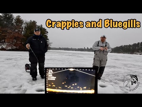 Ice Fishing for Crappies and HUGE bluegills
