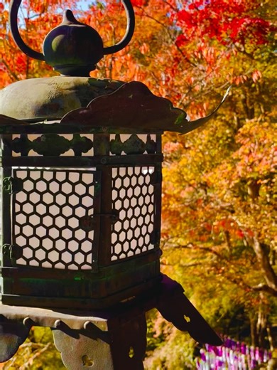 Miki Miyazaki 🇯🇵 on Instagram: "Thirteen-story pagoda and 🍂🍁❤️ 世界で唯一の木造十三重塔の高さは約17m。談山神社⛩️のシンボル的存在です。この塔をバックに記念写真を撮る参拝客が多いのでカメラ台まで用意されてます📷 この日はまだ紅葉が色付き始めた頃でしたが、今週末はもっと赤く綺麗な紅葉🍁が見られると思います。 バスで来られる方は参道で地酒の試飲もできますよ。こんにゃく田楽🍢がめちゃくちゃ美味しいです😄 #談山神社 #重要文化財 #十三重塔 #吊るし灯篭 #私は奈良派 #秋の風景 #日本の秋 #桜井市 #紅葉シーズン #紅葉スポット #紅葉🍁 #autumnleaves #shrine #aoj_bokeh #bestjapanpics #icu_Japan #IGersJP #japan_daytime_view #japan_of_insta #jp_gallery #kf_gal