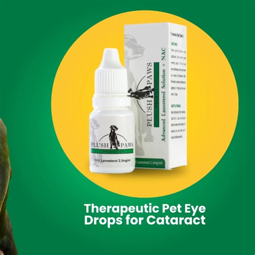 23 reactions | Is your dog starting to bump into furniture… hesitate...