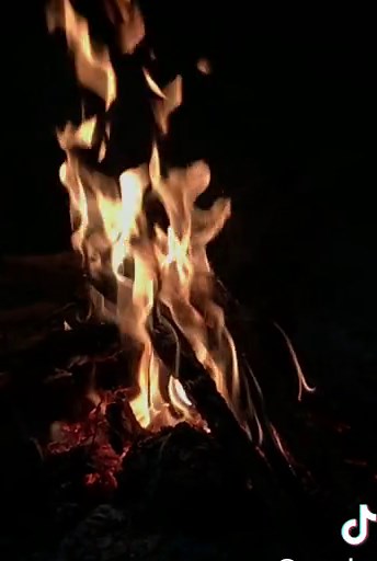 #vibes #apiunggun #fypシ #vibesmalam #nightvibes #aesthetic #fyp #laguviral #sadvibes Kata kata dipersilahkan