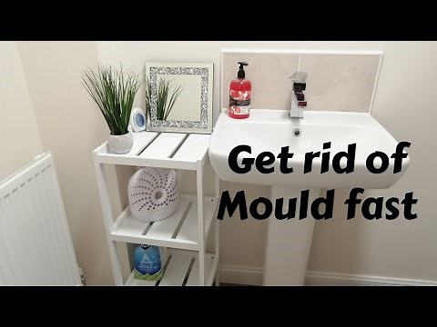 How to get rid of mould fast in the bathroom | Using Astonish Mildew and mold blaster|Product review