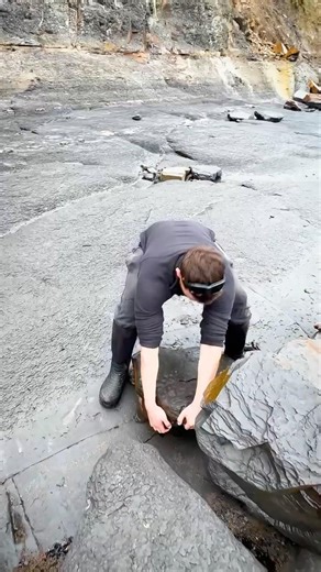 Don’t Walk Past This Strange Rock!