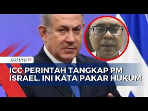 Pakar Hukum Internasional, Hikmahanto Juwana Angkat Bicara soal ICC Perintah Tangkap PM Israel
