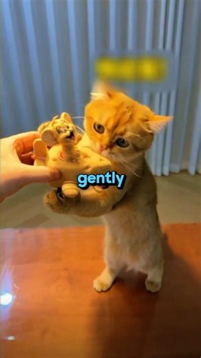 These Cats Love Cartoons 😻📺 #shorts