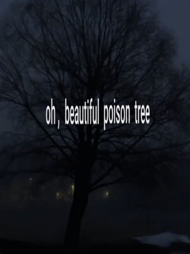 #escritos #tristeza #fyp #fypp #poemas #escritor #escritoresentiktok #melancolia #nostalgia #escribir #amor