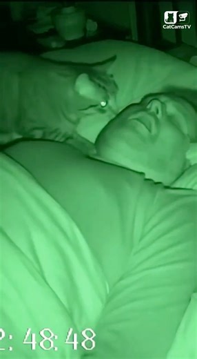 Breathing Guardian: Cat Detects Sleep Apnea and Repositions Owner | Night Vision Rescue 🐾💤 #Shorts