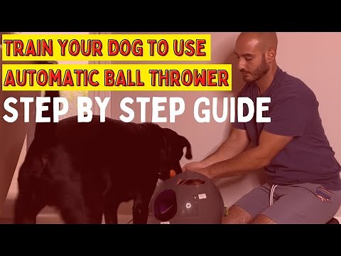 How To Teach Dogs To Use Automatic Fetch Machine- Featuring Petsafe Automatic Ball Launcher #dogtoy