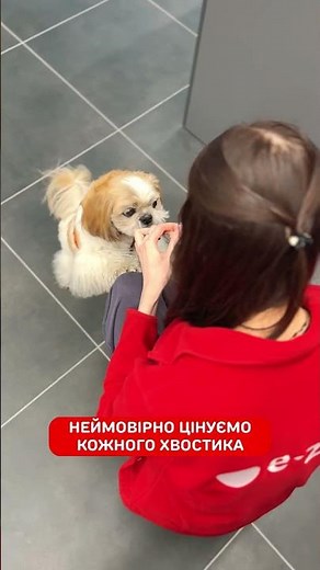 Зоомагазин E-ZOO - ми любимо тварин! 💕Цінуємо кожного носика ❤️ #petshop