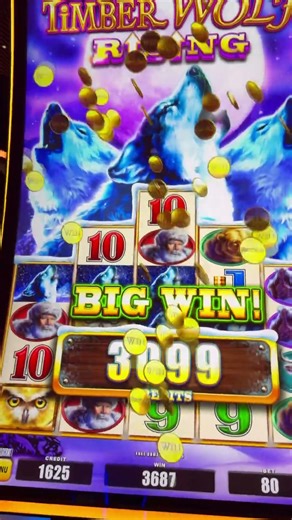 SLOT Machine:”Timber Wolf Rising” Lucky “Big Winner”.Bet:0.80