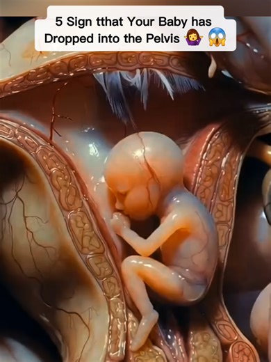 Medical 3D visualization for anatomy education.” Educational medical 3D animation For learning purposes only Non-graphic • Not real footage #medicaleducation #3danimation #anatomylearning #sciencevisuals #healthknowledge