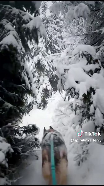 Рекомендации по жизни у рек