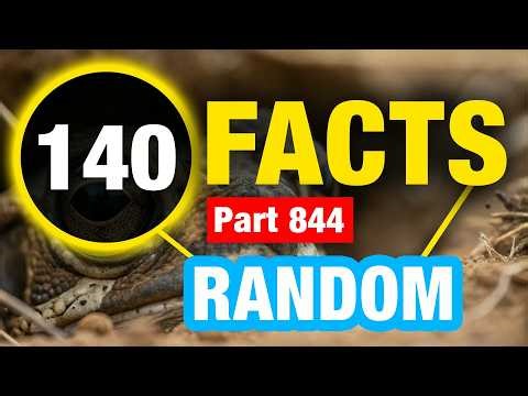 140 Facts You Won’t Believe | Random Facts You Didn’t Know