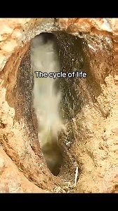 6.1K reactions · 1K shares | This all natural mustard tastes like crap! #funny #comedy #humor #hilarious #poop #jokes #haha #lol | Doug Rogers | Facebook