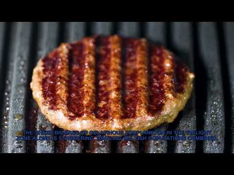 200 Amazing Facts About Marine life and ocean ecosystems