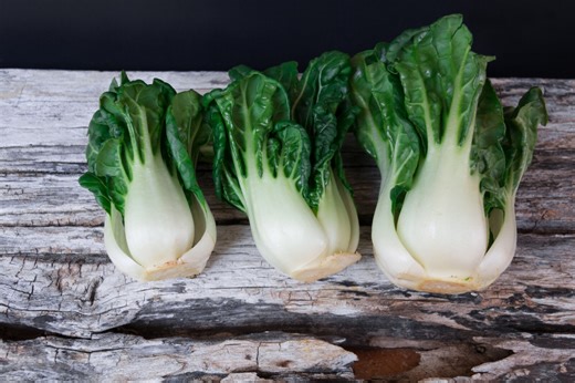 2025 Seed Trials yielded sowing surprises, standout seeds