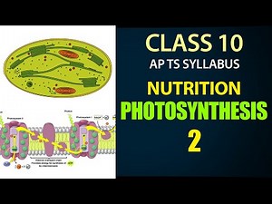 #Nutrition |Photosynthesis Explanation in Telugu 2| AP & TS syllabus | Class 10th Biology ch-1