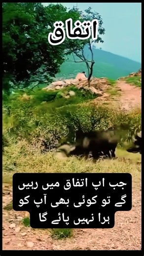 13K views · 63 reactions | Great Lesson from this story l Unity is...