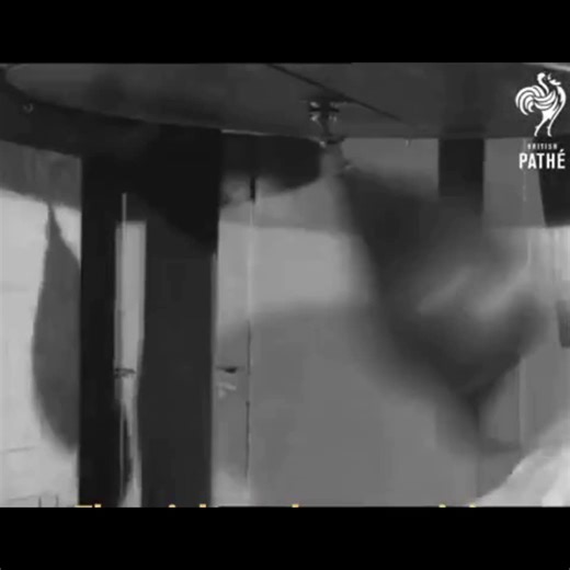 Jamie Lewis on Instagram: "Barbara Buttrick terrorized the unlicensed boxing world in the 1940s before becoming the world's 1st official female boxing champion & the unofficial toughest little old lady on the planet. Now 96-years-old, Buttrick was only 1.5m & 44kg (4'11' 98lbs) in her prime, but that didn't stop her from beating up men & women of all sizes in carnival boxing booths beginning at age 15. She explained she was "small but mean" & initially taught herself to box using a book, but soo