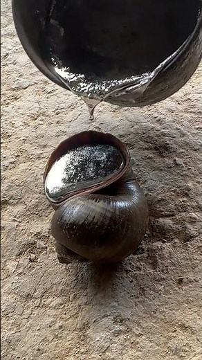 Pouring Molten Aluminum Into a Snail Shell Mold #satisfying #casting #diy