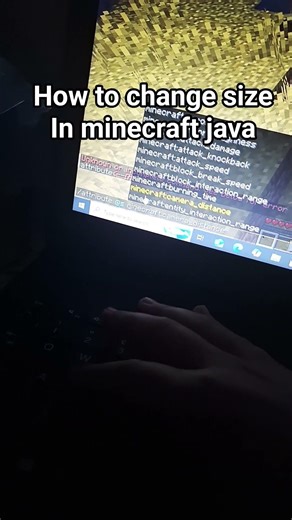 how to change size in minecraft java