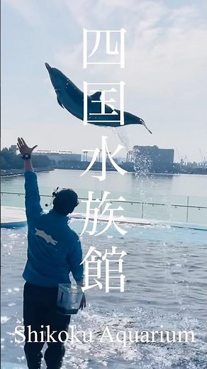 【香川県】四国水族館に行ってきた#四国水族館 #四国 #香川県 #宇多津町 #shikokuaquarium#shikoku #kagawa #utazu#aquarium#観光