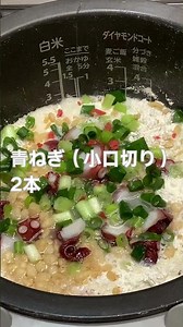 \\ 炊飯器に入れるだけ / たこ焼き