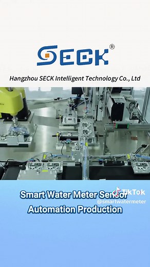 Exploring the Production Process of Smart Water Meters