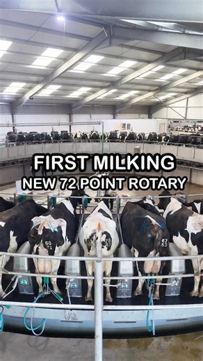🚨 FIRST LIVE MILKING ON OUR 72 POINT ROTARY 🐮🥛 History made at Moo’trition as we run the very first live milking on our brand new GEA T8900 Rotary – the first of its kind in Europe 🇬🇧🐄 Big thank you to everyone who made this happen! This 72-point parlour features: ⚙️ Digitron Milking Point Controllers 📊 DigiFlow Milk Meters 📱 DairyNet Software – giving real-time data straight to your mobiles & tablets ✅ Real-time decision making ✅ Improved cow welfare ✅ Enhanced sustainability ✅ Smarter 