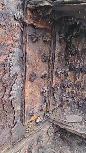 188K views · 1.1K reactions | Hopefully my last bridge post…..Part...