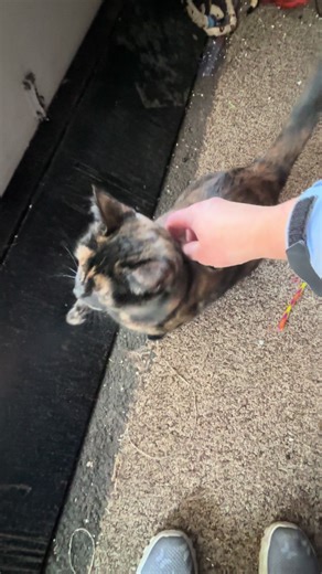 Morning Love from Momma and Her Babies