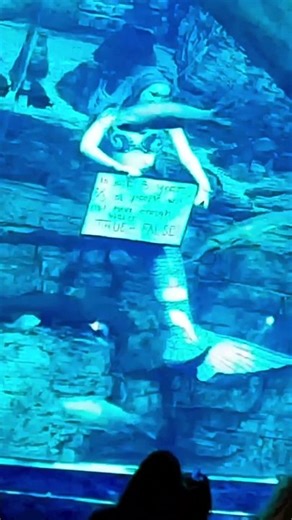 Discovery World Museum Milwaukee, WI 2023