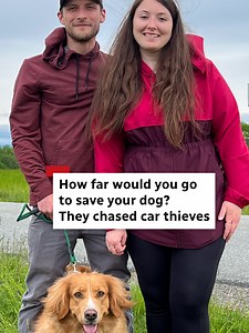 How far would you go to rescue your pet from thieves? Well, one Nova Scotia couple took matters into their own hands last week when their vehicle was stolen — with their dog still inside. The CBC's Aly Thomson has their story. #dog #car #crime #novascotia #news