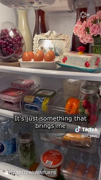 'Fridgescaping' Trends: Functional Fridge Makeovers