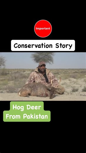 1.5K views | Hog Deer from Pakistan. #tuesdaytruth  The impact #Pakistan is having using sustainable hunting as a critical tool for conservation.  stay tuned: full story will be coming out soon on ahuntersquest #Youtube channel. Be sure to subscribe so you won’t miss this film’s release. #huntingisconservation #hogdeer #pakistanhunting #trophyhunting #huntingseason #trophyhunter #importantmessage | A Hunter's Quest | Facebook