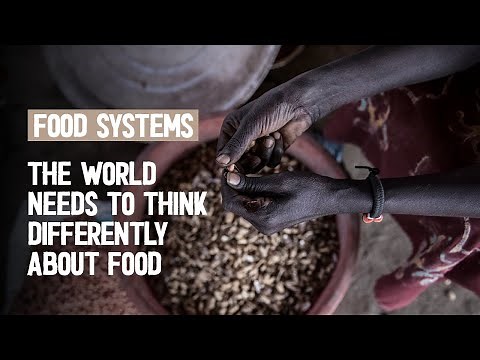 Food Systems: the way we produce, distribute, and consume food touches every aspect of our lives.