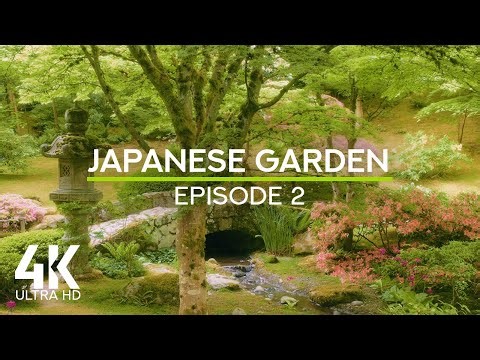 Seattle Japanese Garden in Spring | 4K Relaxing Nature Sounds for Sleep & Focus - Episode 2