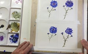 水彩搬运 “水彩纸的比较，热压还是冷压水彩纸下的画”。水彩风景篇