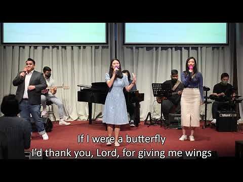The Butterfly Song (If I Were A Butterfly) (with lyrics) | Worship Songs